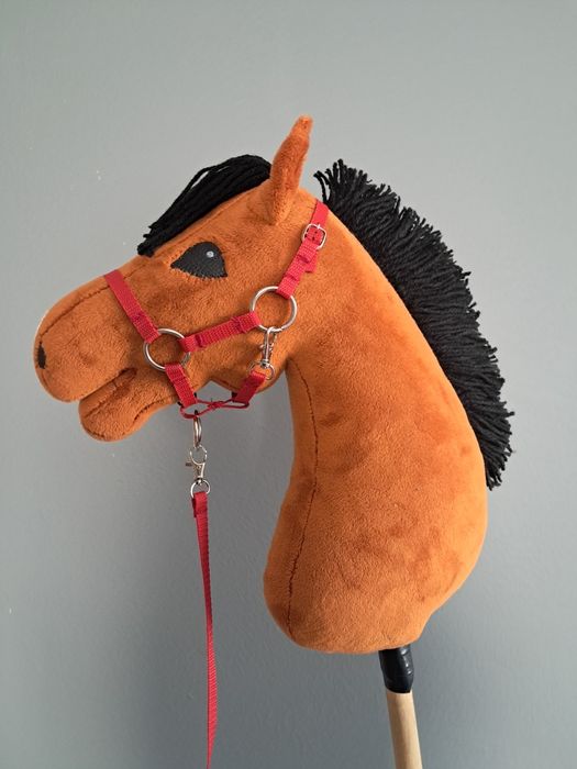 Gniady Hobbyhorse A4