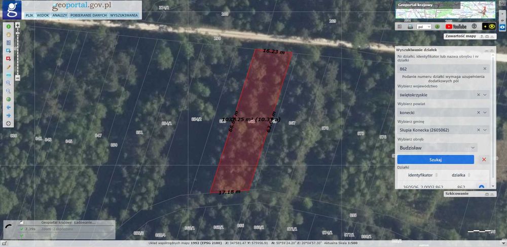 Działki leśne w gminie Łopuszno i Słupia Konecka