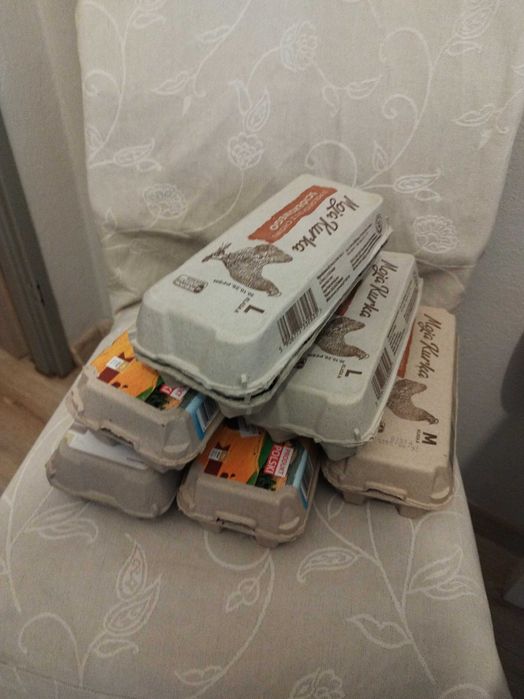 Papierowe tacki na jajka za darmo