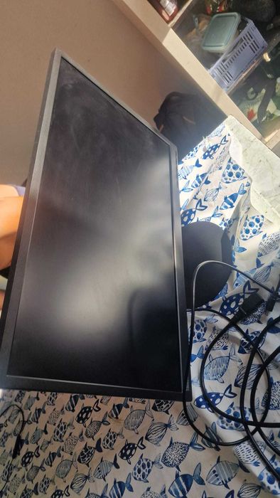 Monitor Lenovo E24-10