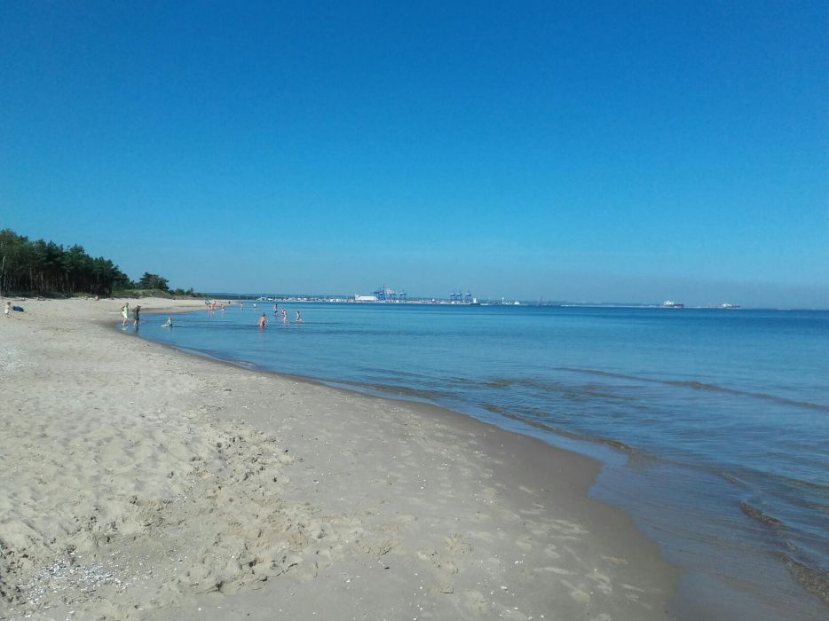Mieszkanie w Gdańsku terminy wolne , także dla studentów czytać treść