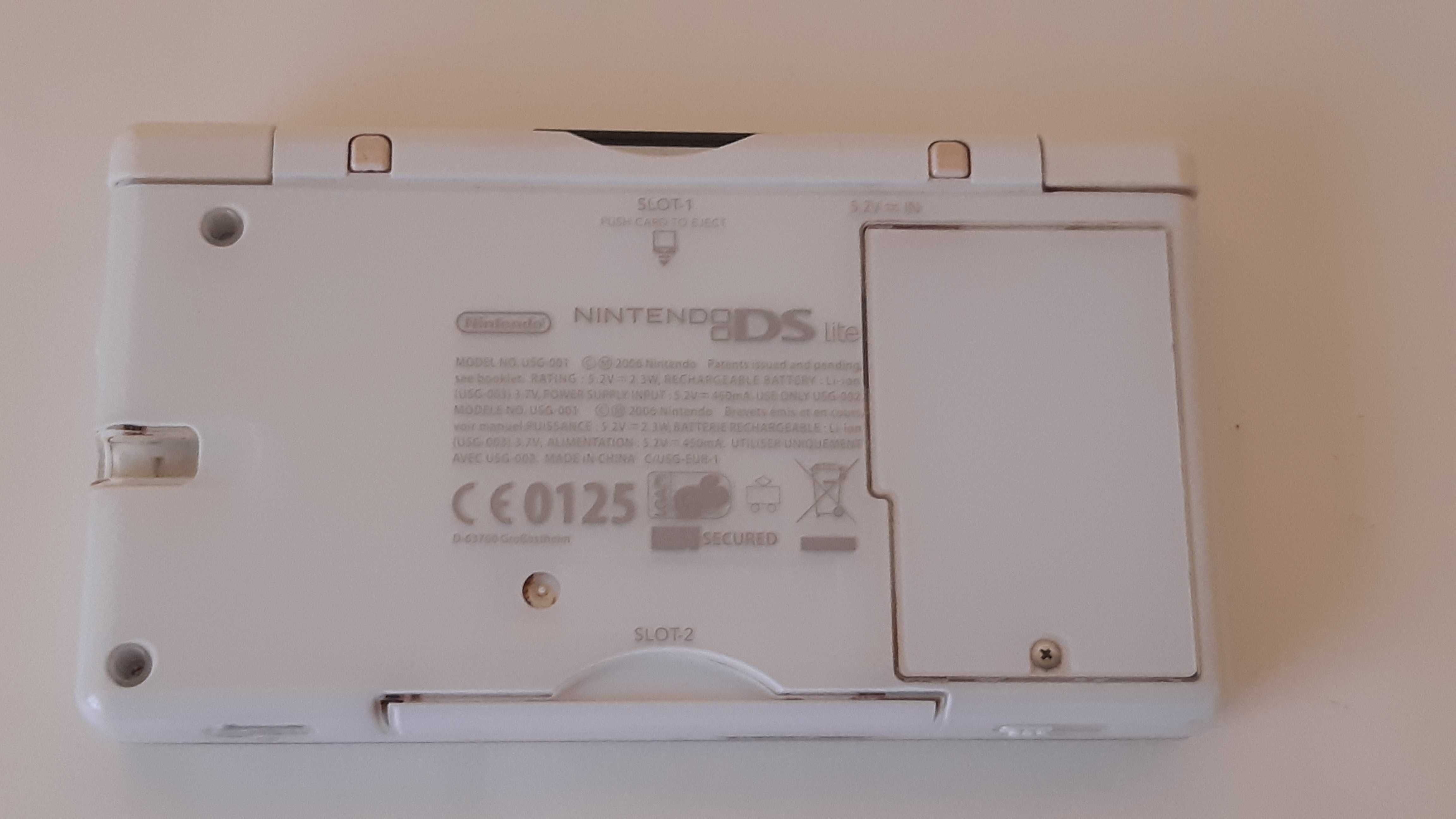 Nintendo DS Lite