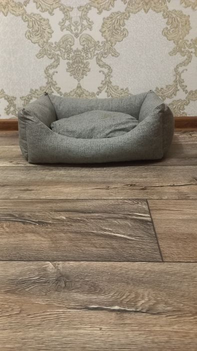 Продам ліжечко для собачки або котика