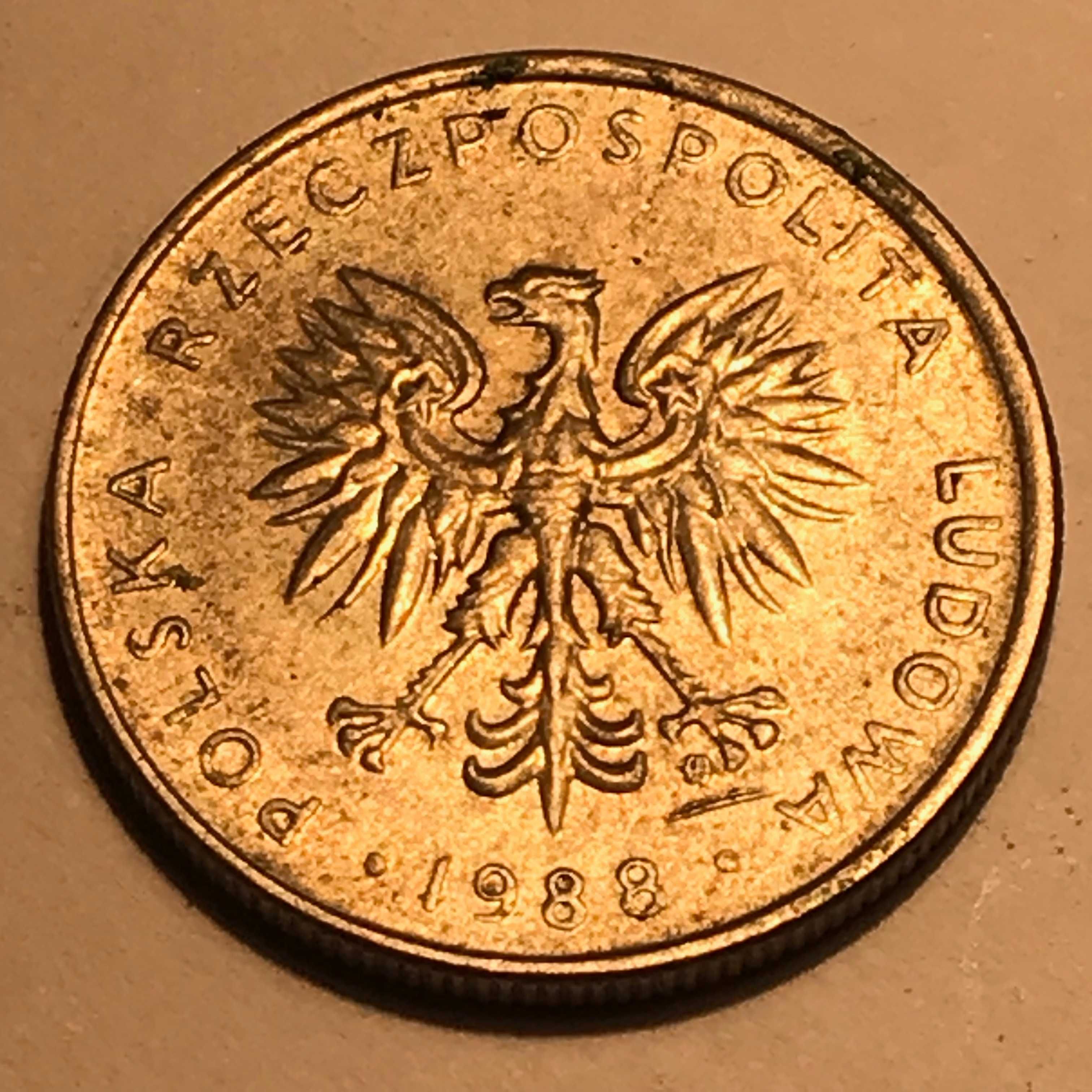 Moneta 10 zł - 1988 rok