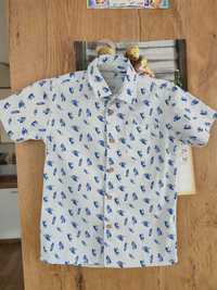 Koszula dla chłopca ze smyka-116