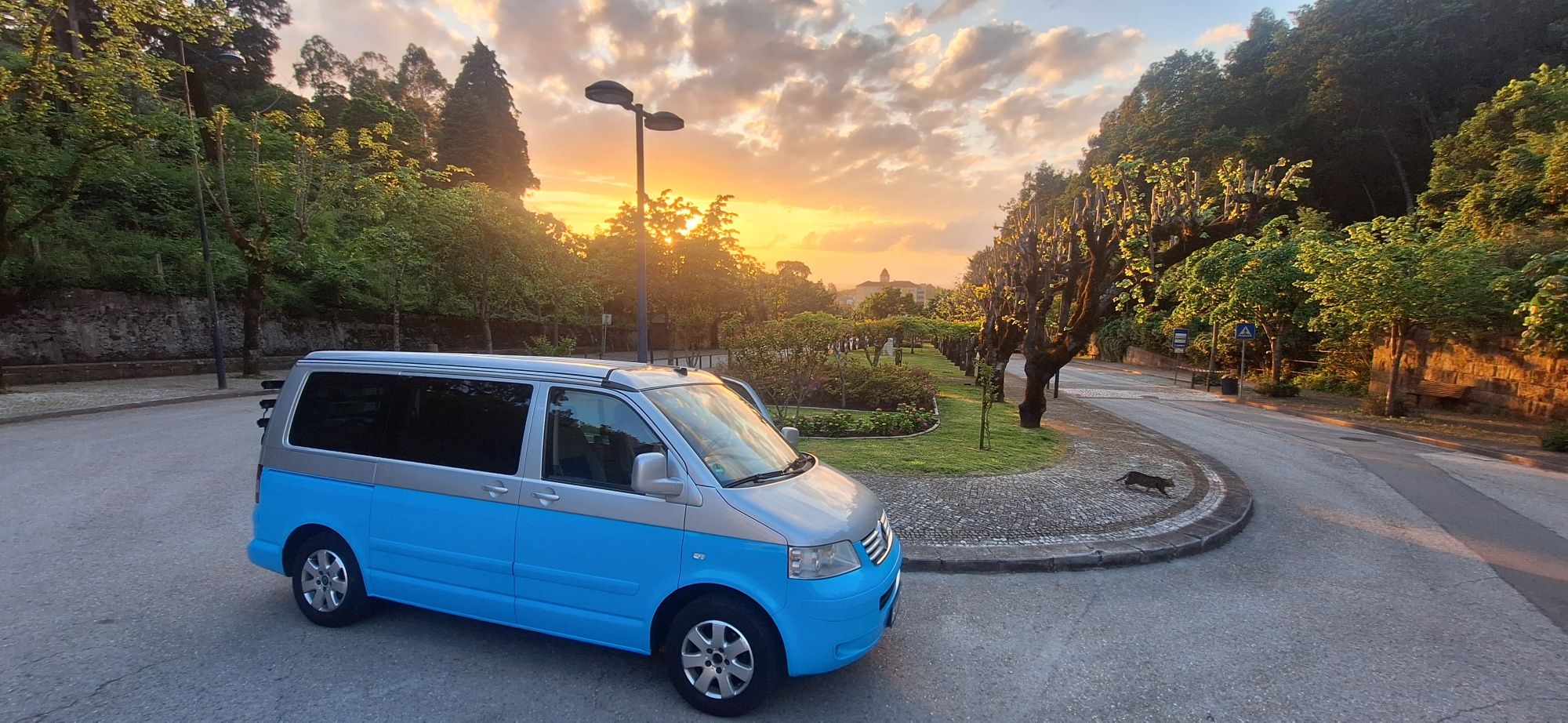 Vw T5  california 2.5TDI