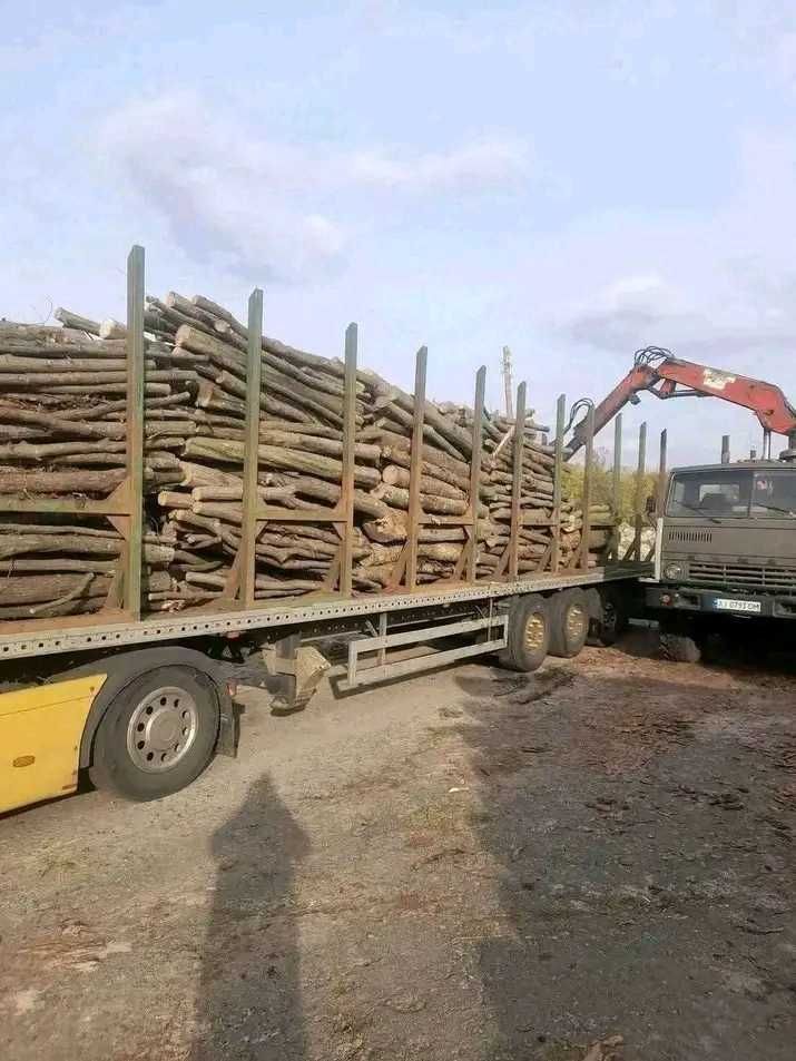 Продам дрова твердих порід