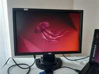 Monitor LCD AOC 203Swa 20 cali zadbany + adapter VGA/HDMI