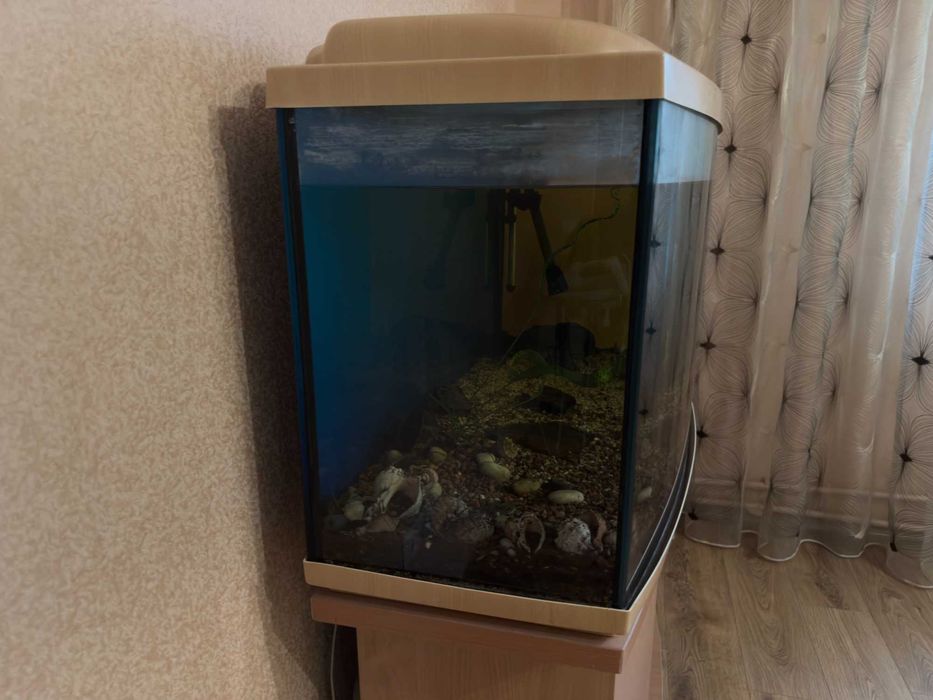 Акваріум 240л з тумбою, фільтр FLUVAL FX-5, стан хороший. Торг