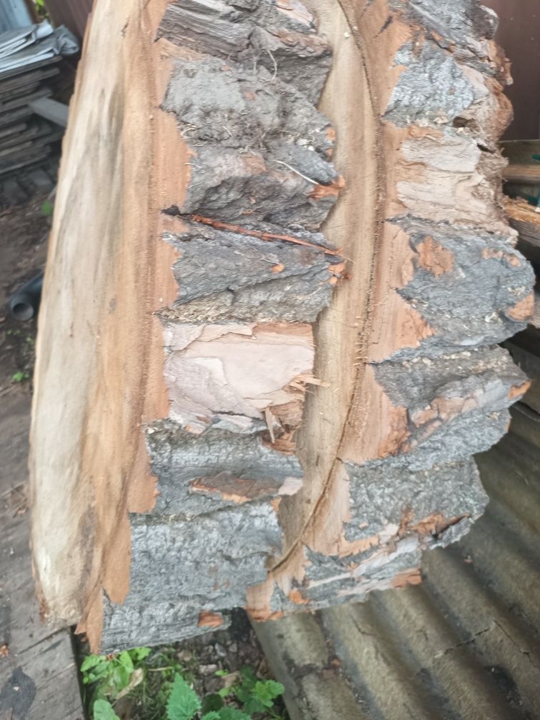 Plaster dr wna topola