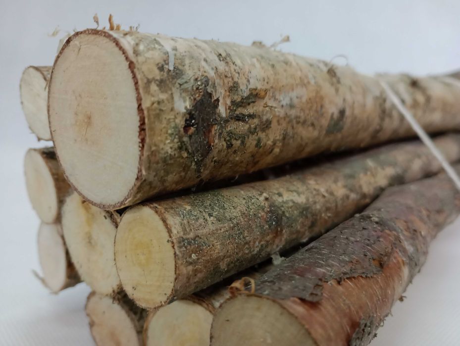 Patyczki, kołki brzozowe 10 sztuk DŁ 50 CM, 1-5 CM