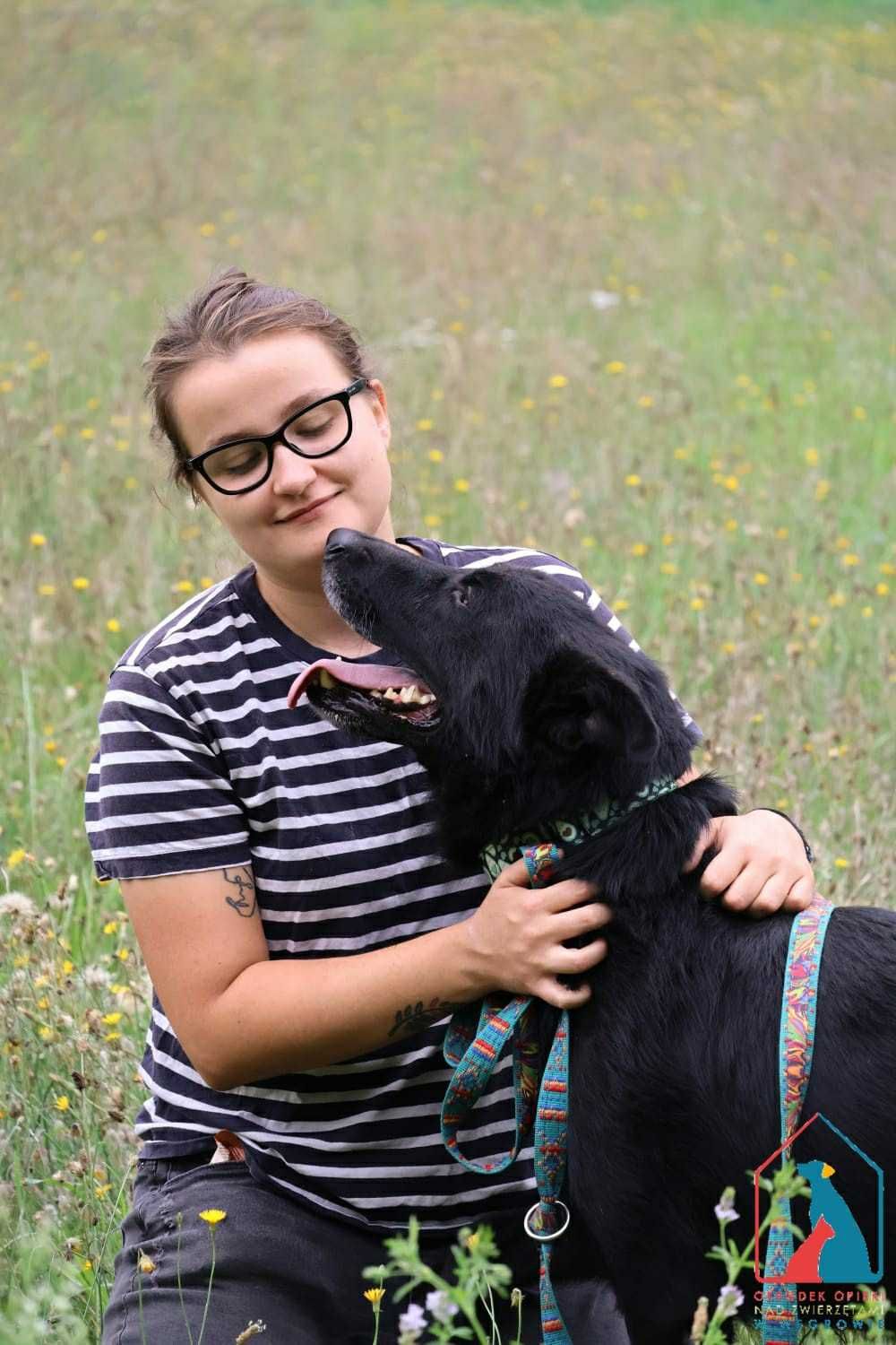 PIĘKNY, KOCHANY, duży psiak - pełen miłości i radości życia - adoptuj