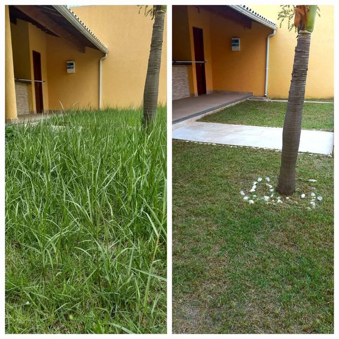 Faço trabalho de jardinagem