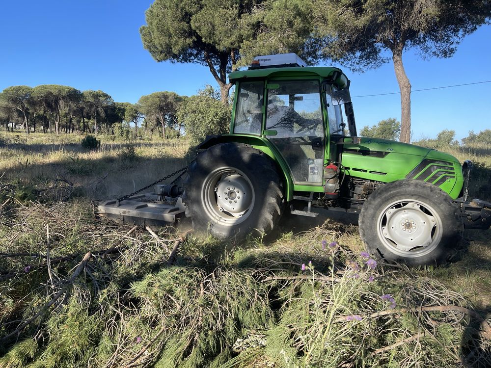 Podas de árvores e limpeza de terrenos