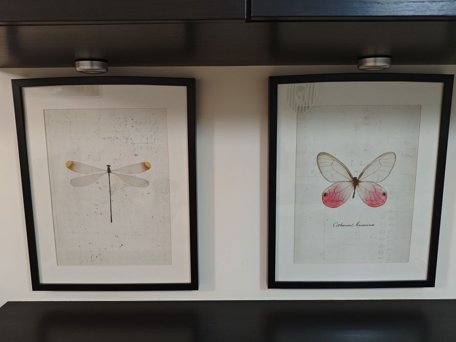 Quadros  pretos do Ikea