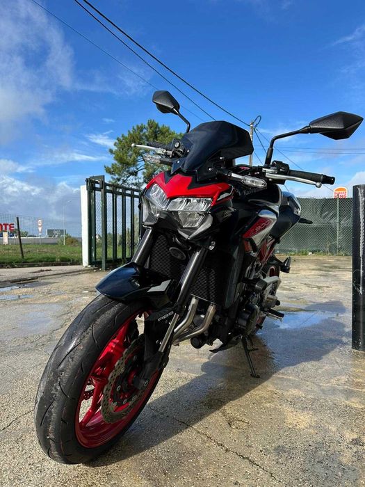 Kawasaki Z900 Performance 2024