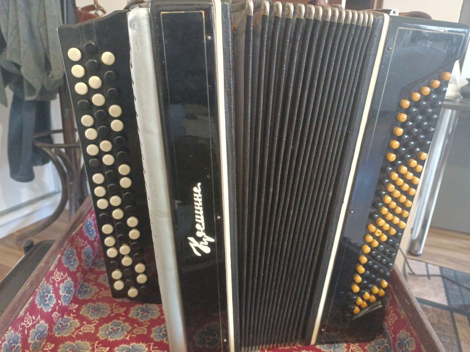 Guzikówka stan bardzo dobry brzmienie po strojeniu.