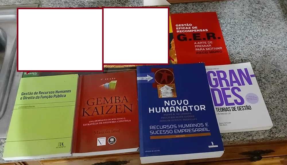 Lote de Livros sem anotacoes