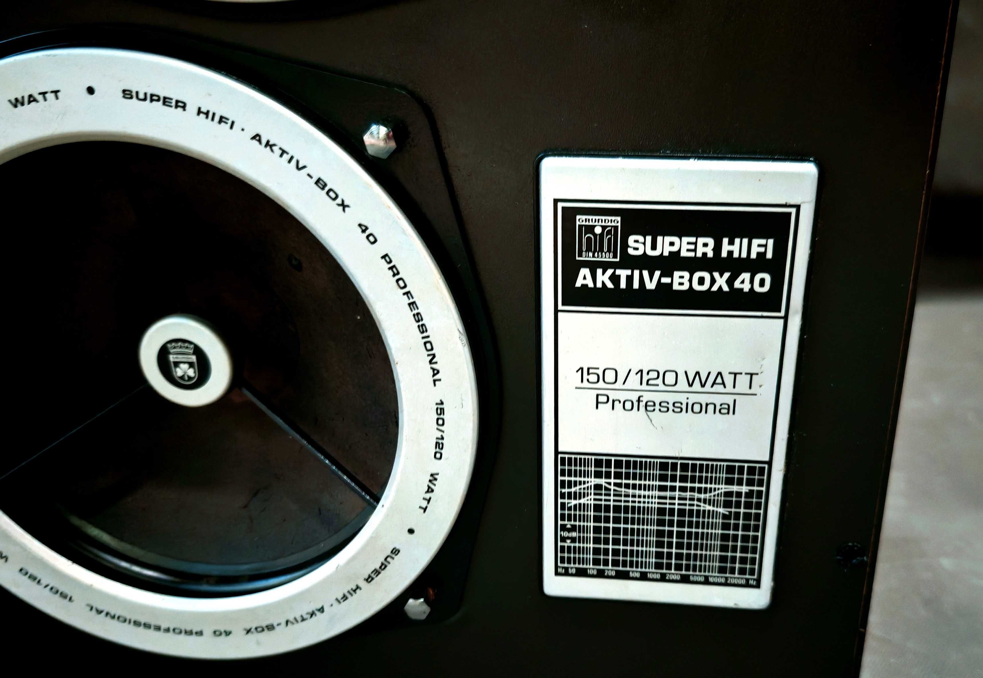 Kolumna Grundig Super HiFi Aktiv-Box 40 Professional 150 WATT Aktywna