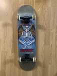 Skate Birdhouse Tony Hawk