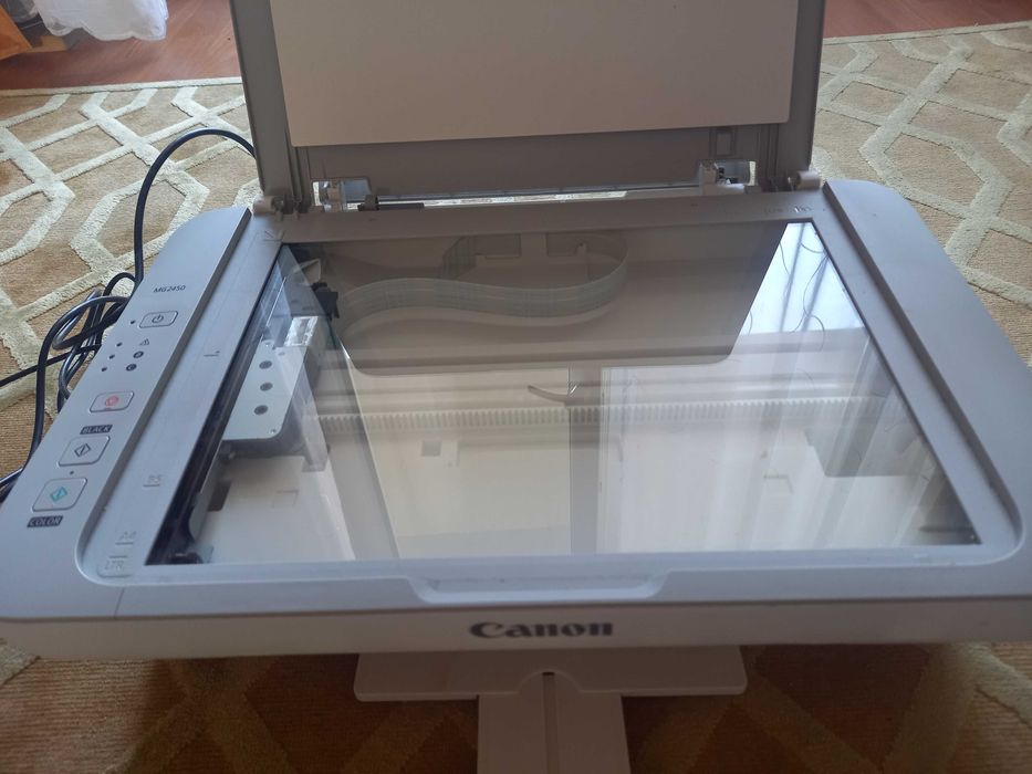 Drukarka Canon MG2450