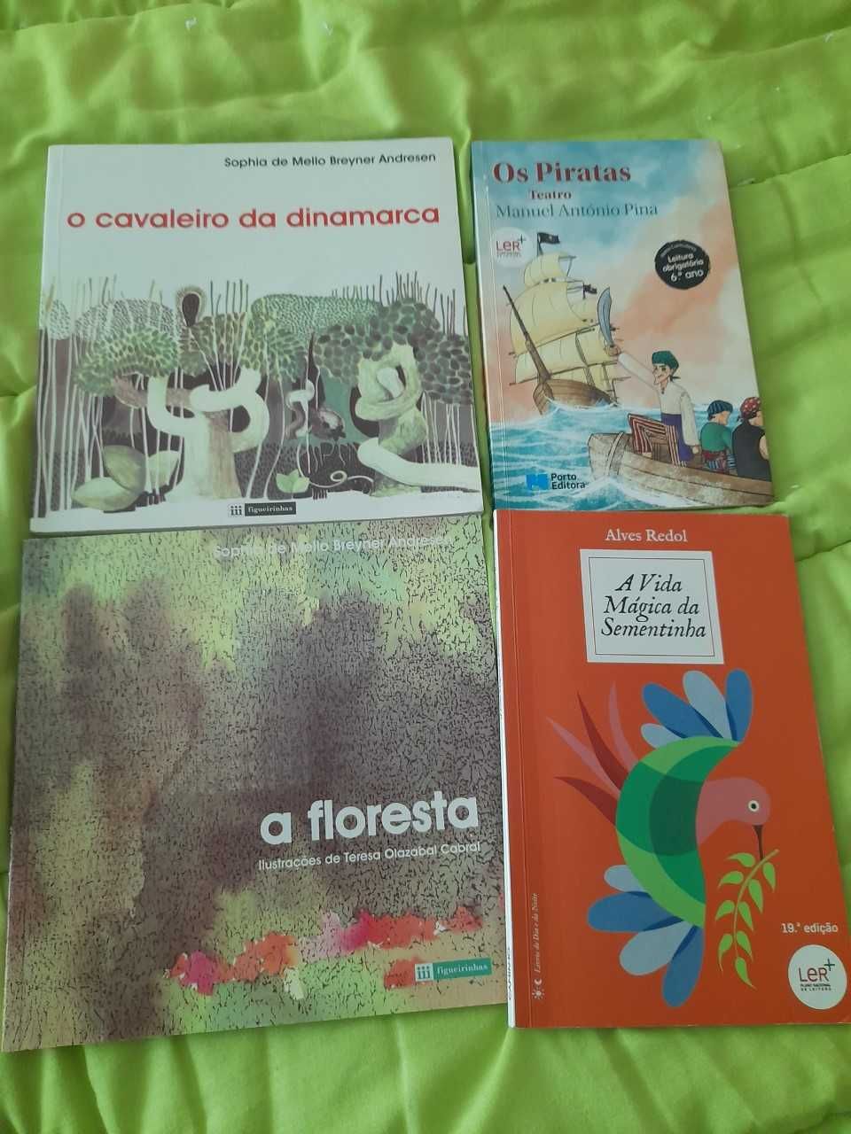 livros escolares