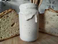 Fermento natural (Levain)