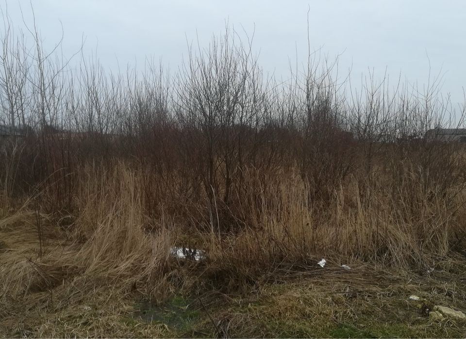 Sprzątanie działki, ogrodów, karczowanie zieleni