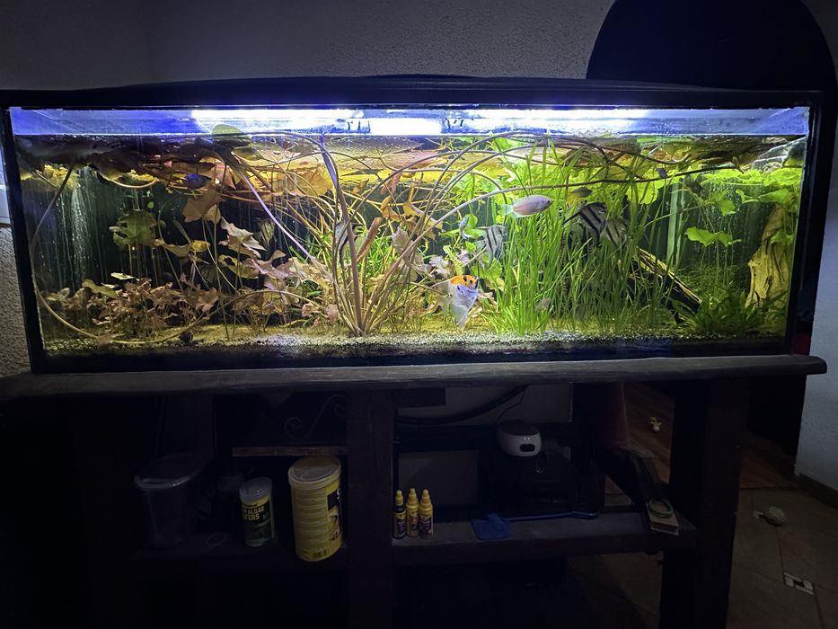 Akwarium 375l zestaw