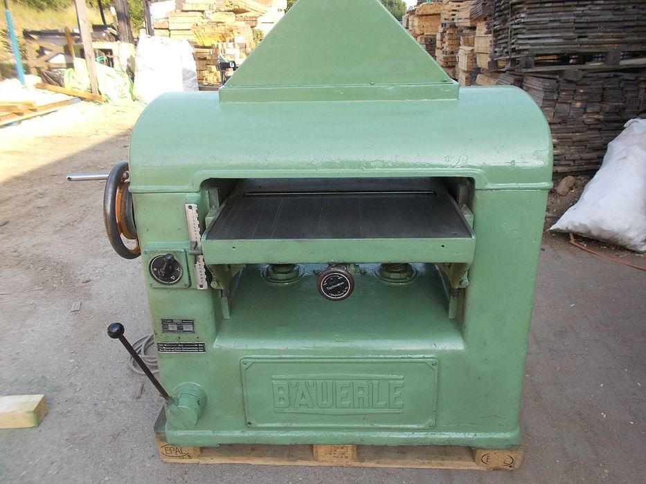 Grubościówka niemiecka Bauerle