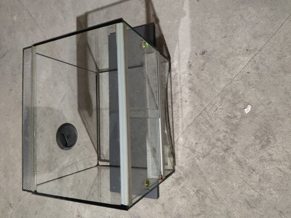 Terrarium dla pająka