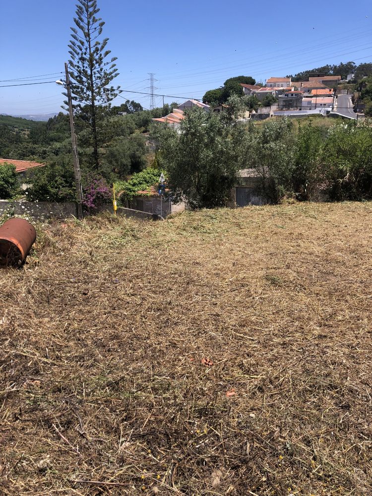 Limpeza terrenos e corte arvores