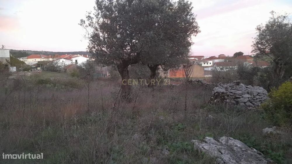 Terreno na Serra de Santo António