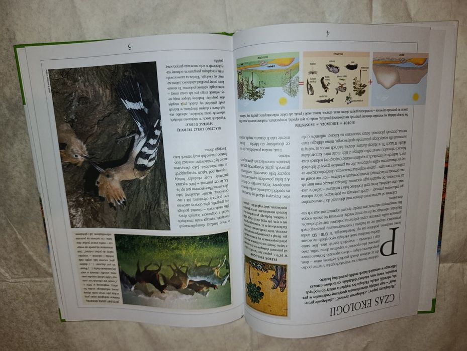 Zielona Planeta książka