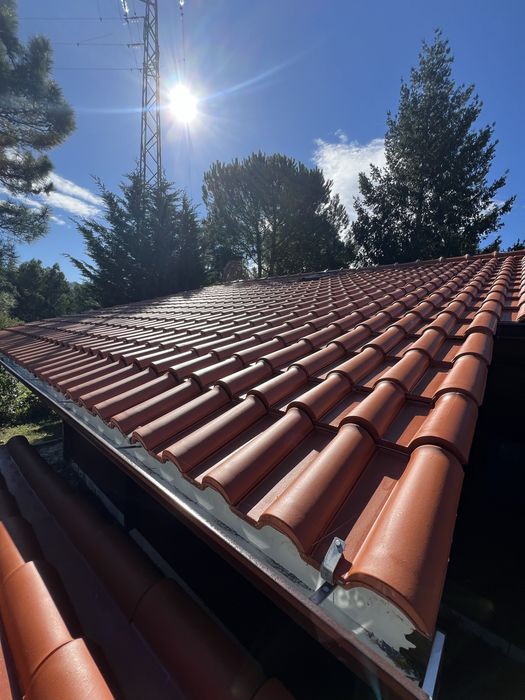 Pintor profissional e lavagem de Telhados