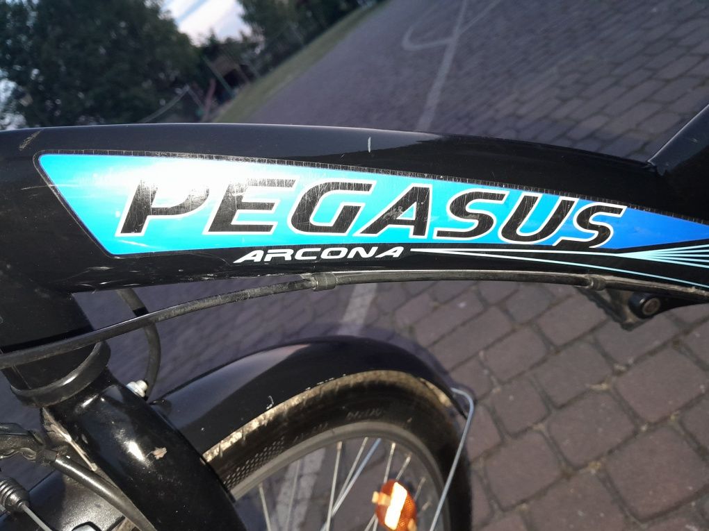 Rower Pegasus Arcona 24 cale