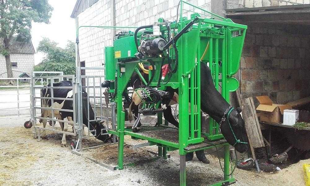 Korekcja racic bydła – Podlasie + woj. ościenne