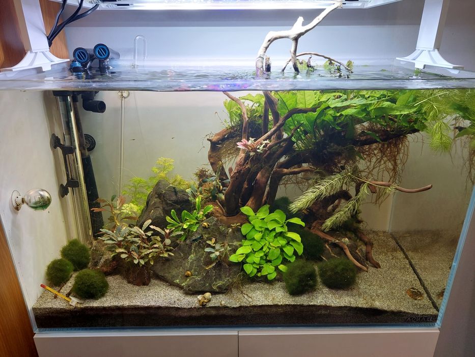 Aquael ultrascape 60 białe z szafką