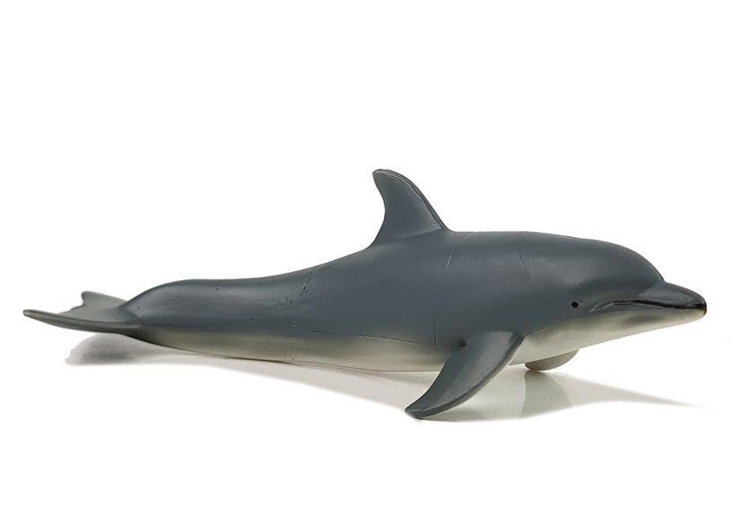 Figurki Edukacyjne Morskie Zwierzęta Rekiny Foka Delfin Mors Żółw
