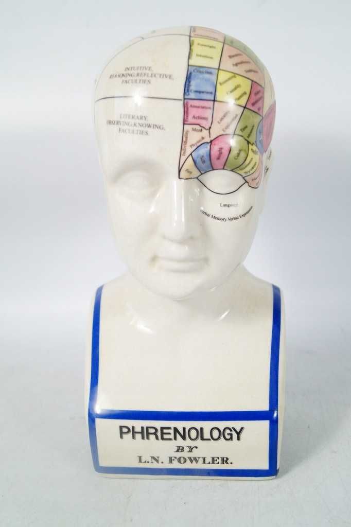 Porcelanowa Głowa Medyczna PHERNOLOGY mapa głowy  2
