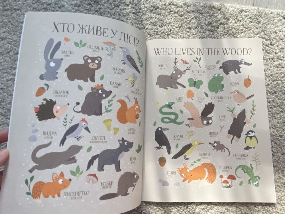 Книжки дитячі англійською з перекладом