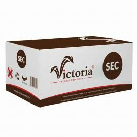 Флористична піна (оазис) для сухоцвітів Victoria SEC