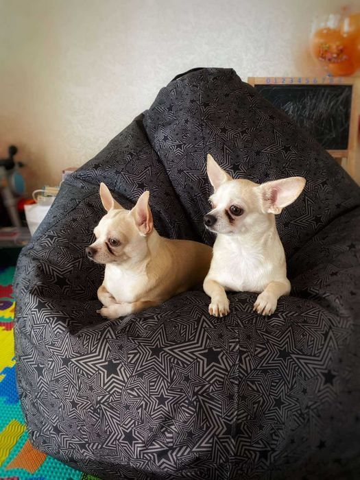 Крісло переносне, зручне, комфортне, тепле. З виробництва. 24 кольори.