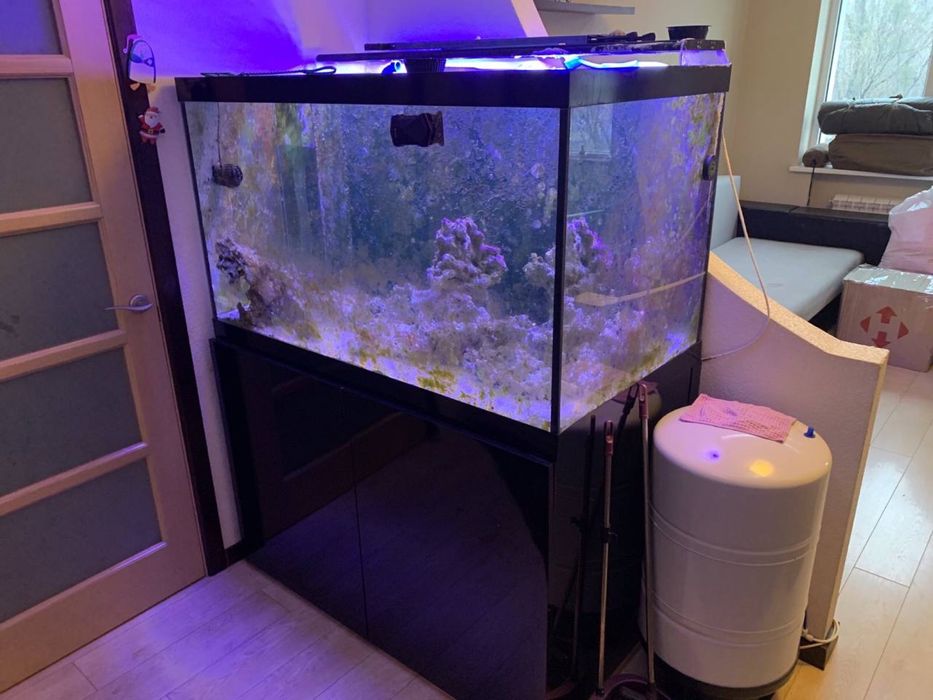 Акваріум 550л з усім обладнанням