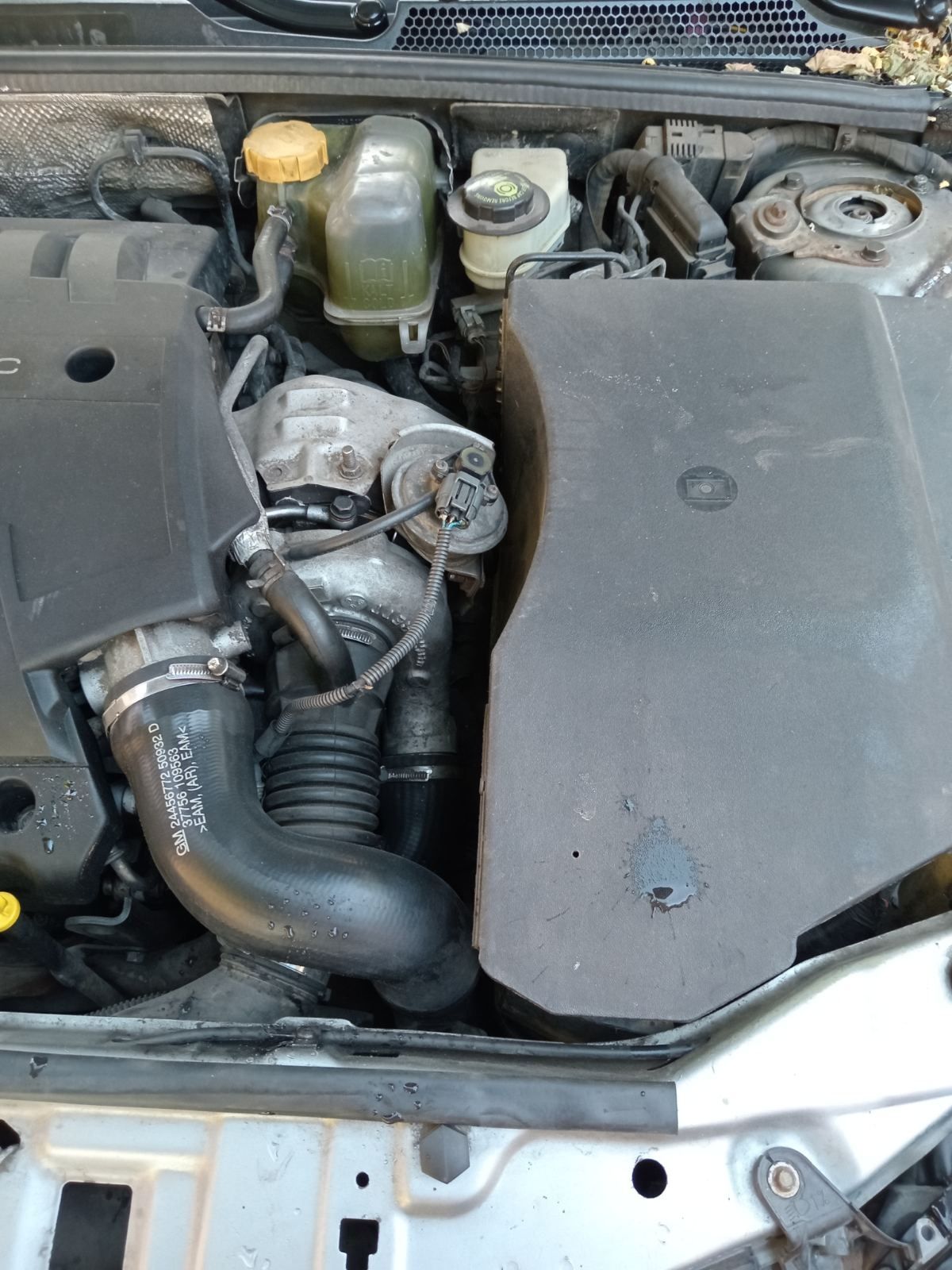Opel vectra c signum Опель вектра ц сігнум