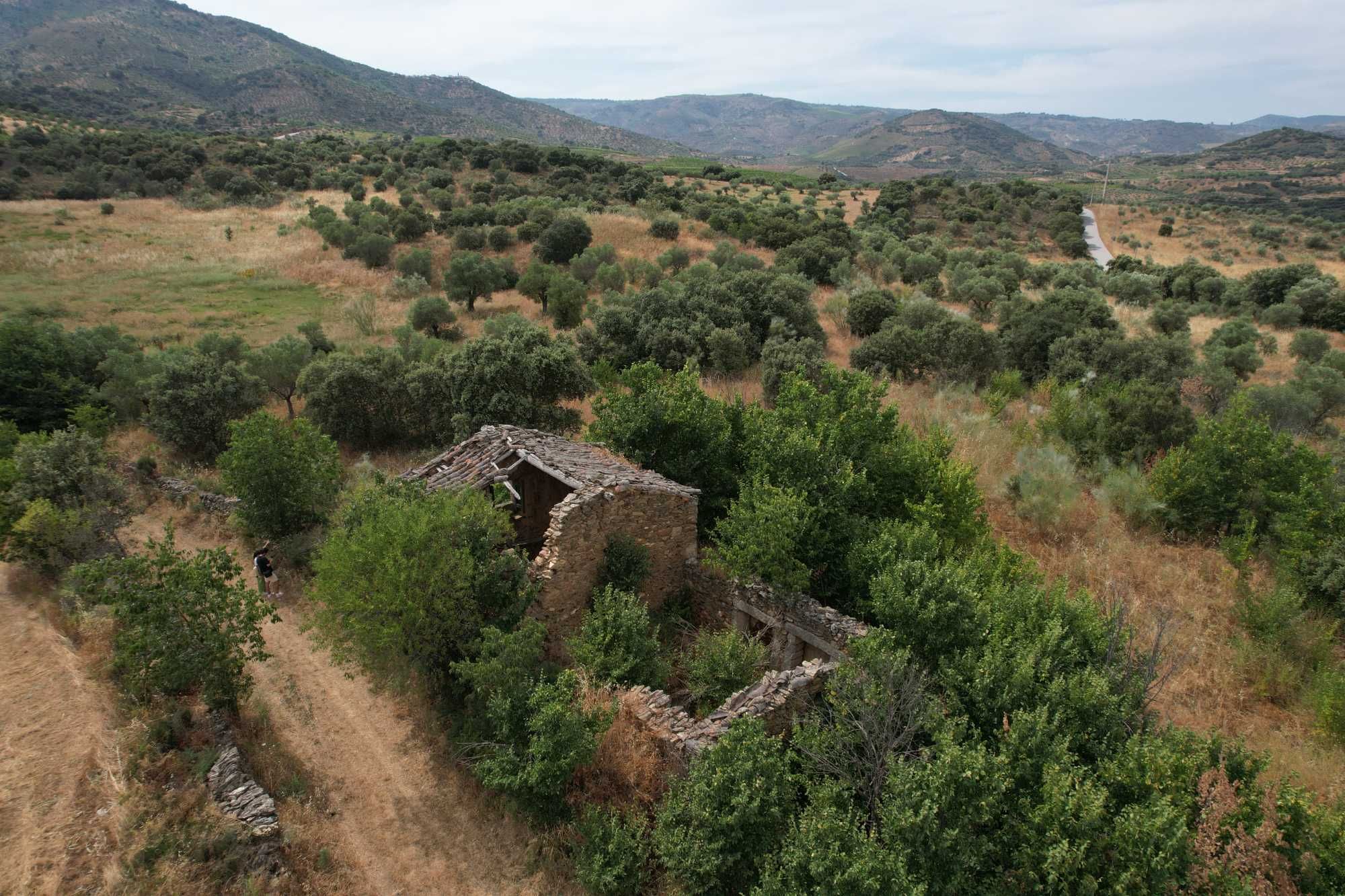 Terreno com 8 hectares, 2 Casas para reconstruir + poço e Olival