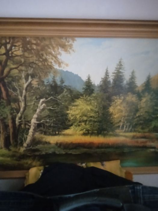 Продам красиві картини