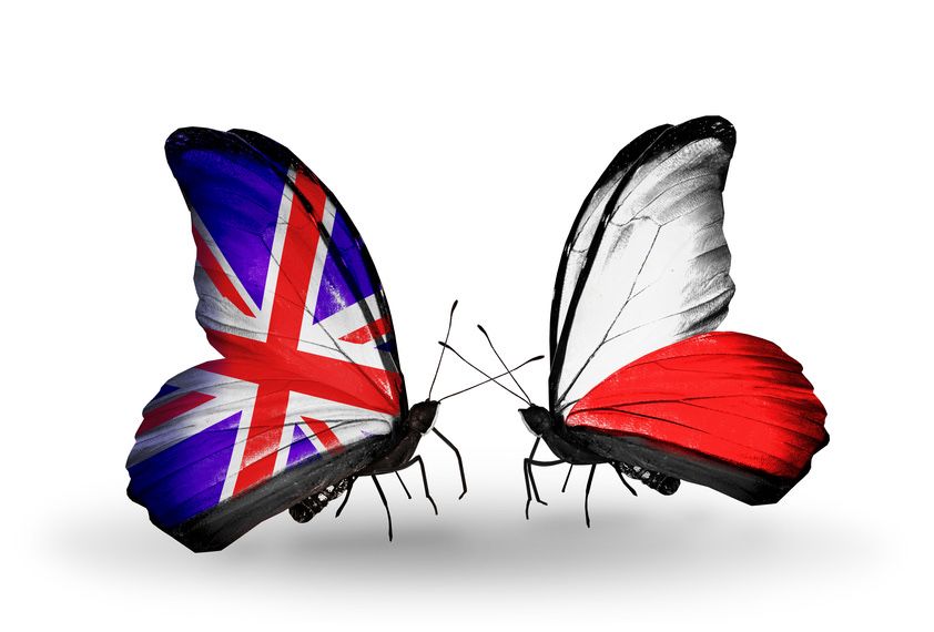 Tłumacz przysięgły j. angielski / English Polish sworn translations