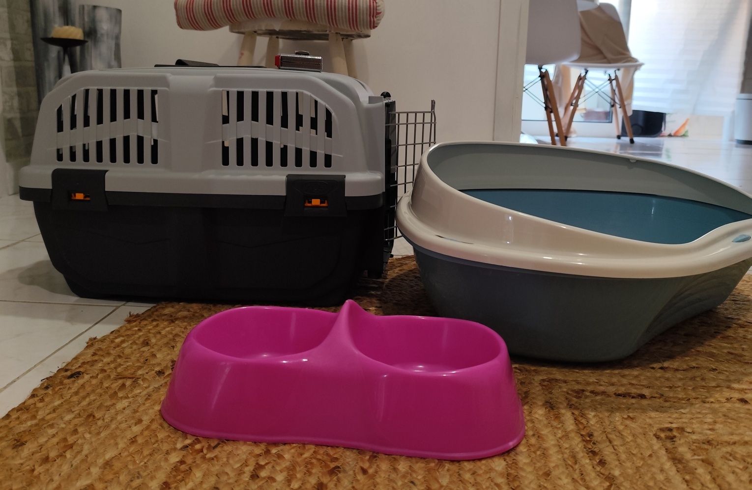 Animais | Conjunto de acessórios para gato