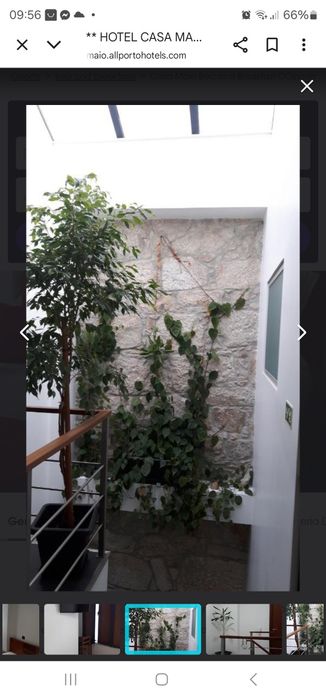 Alugo Suite no centro do Porto